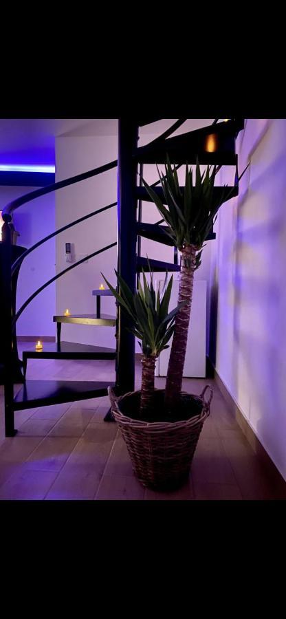 Dm Cocooning Apartment *